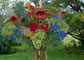 autumn bouquet of hydranges, zinnias, and celosia from Minnesota garden