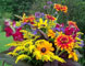 Bouquet of Minnesota garden flowers