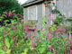Garden shed at Minnesota flower farm