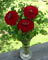 Bridal bouquet of garden flowers