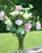 Minnesota-grown lisianthus boquet