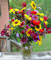  Minnesota garden flowers, August